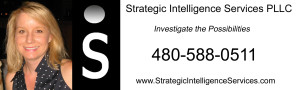 Private-Investigator-Strategic-Intelligence-Services-300x90